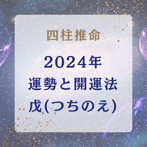 2024 戊土